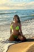 Prato Trans Tain� Oliveira 328 53 82 487 foto 3