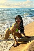 Prato Trans Tain� Oliveira 328 53 82 487 foto 2