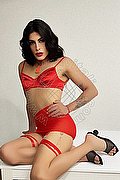 Milano Trav Elisa 351 26 04 780 foto 10