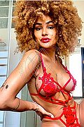 Milano Trans Escort Stella 329 55 63 971 foto 29