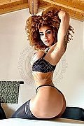 Milano Trans Escort Stella 329 55 63 971 foto 2