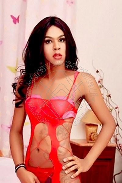 Demetra BELLUNO 3511108708