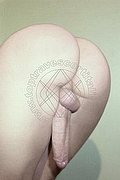 Noventa Di Piave Trav Escort Vanessa Dior 345 04 05 832 foto hot 8