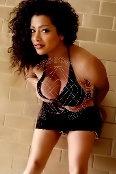 Amor New LIDO DEI PINI 3294340323