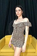 Roma Trans Escort Nick Lonning 331 40 03 700 foto 43
