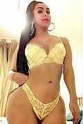 Novara Trans Escort Camylla 328 63 34 944 foto 20