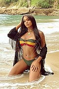 Novara Trans Mirella Brasiliana 327 17 21 805 foto 5