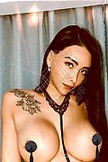 Milano Trans Yasmila  0034677174034 foto 29