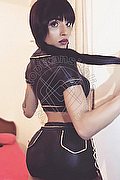 Imola Trans Brunna Campanaro 350 93 35 566 foto 87