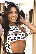 Imola Trans Brunna Campanaro 350 93 35 566 foto 100
