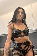Imola Trans Brunna Campanaro 350 93 35 566 foto 64