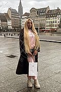 Imola Trans Brunna Campanaro 350 93 35 566 foto 23