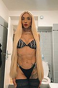 Imola Trans Brunna Campanaro 350 93 35 566 foto 9