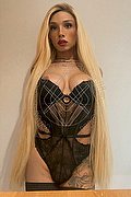 Imola Trans Brunna Campanaro 350 93 35 566 foto 5