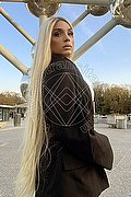Imola Trans Brunna Campanaro 350 93 35 566 foto 16
