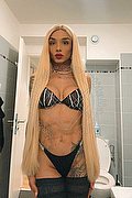 Imola Trans Escort Brunna Campanaro 350 93 35 566 foto 22