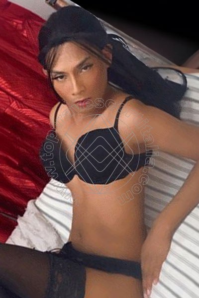 Dion PISA 3512562270