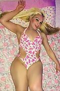 Roma Trans Ingrid 329 14 40 518 foto 15