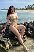 Como Trans Flavia 320 11 53 101 foto 13