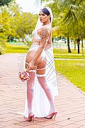 Verona Trans Nick Miller 338 29 45 956 foto 129