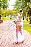 Verona Trans Nick Miller 338 29 45 956 foto 130