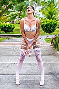 Verona Trans Nick Miller 338 29 45 956 foto 134