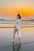 Verona Trans Nick Miller 338 29 45 956 foto 58