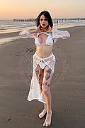 Verona Trans Escort Nick Miller 338 29 45 956 foto 87