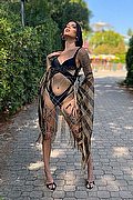 Verona Trans Escort Nick Miller 338 29 45 956 foto 82