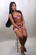 Roma Trans Escort Dea 380 19 62 239 foto 1