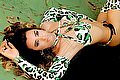 Giussano Trans Bella Solare 334 74 16 269 foto 22