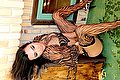 Giussano Trans Bella Solare 334 74 16 269 foto 26