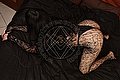 Roma Trav Escort Sarah 320 56 80 131 foto 24