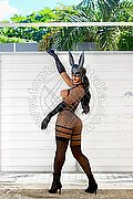 Alba Adriatica Trans Hillary Brasiliana 338 41 36 322 foto 75
