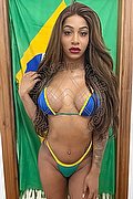 Alba Adriatica Trans Hillary Brasiliana 338 41 36 322 foto 2