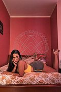 Pordenone Trans Escort Sophia Goldh 392 17 48 880 foto 11