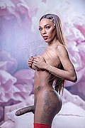 Milano Trans Barbie Black 392 44 64 272 foto hot 23