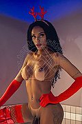 Milano Trans Barbie Black 392 44 64 272 foto hot 17