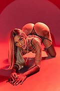 Milano Trans Escort Barbie Black 392 44 64 272 foto 8