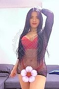 Verona Trans Massiel 351 32 12 238 foto 13