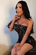 Roma Trans Alejandra 366 50 17 325 foto 4