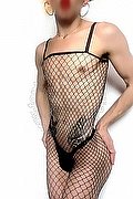 Roma Trav Escort Ariel Femboy 329 55 16 521 foto 24
