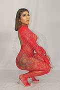 Firenze Trans Escort Gabyzinha 352 02 98 736 foto 15