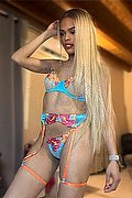 Forl� Trans Vitoria Evans 353 49 95 398 foto 22