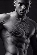 Treviso Boys Bryan Santos Xxl 351 13 71 329 foto 4