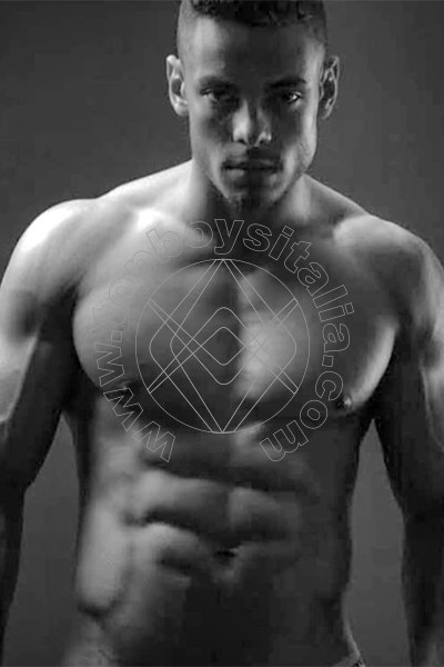 Brazilboy Xxl MODENA 3508741202