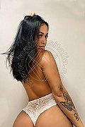 Prato Trans Sther Ferraz 352 04 86 164 foto 4