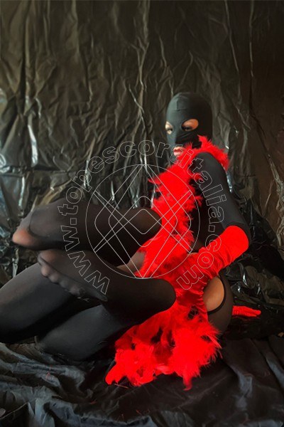 Tiny Mouse VENEZIA 3284690312