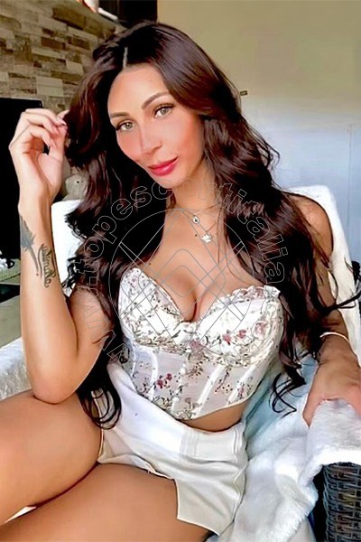Carolina Brasil MODENA 3894439864