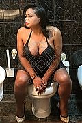 Firenze Trans Escort Vanessa 344 46 08 346 foto 12